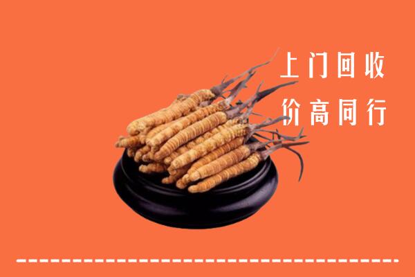 高价求购：深圳大鹏新区回收散虫草
