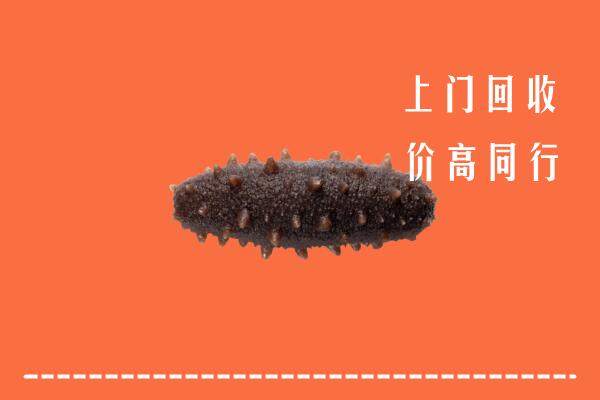 深圳大鹏新区回收海参