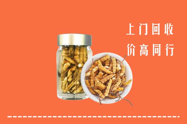 深圳大鹏新区回收冬虫夏草